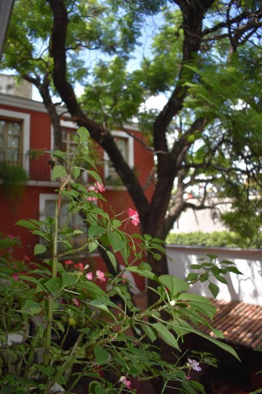 Hotel Ana Catalina And Suites San Miguel de Allende Ngoại thất bức ảnh