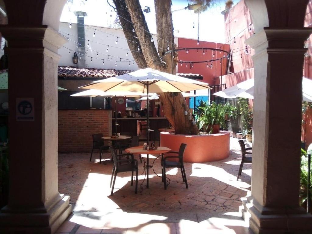 Hotel Ana Catalina And Suites San Miguel de Allende Ngoại thất bức ảnh